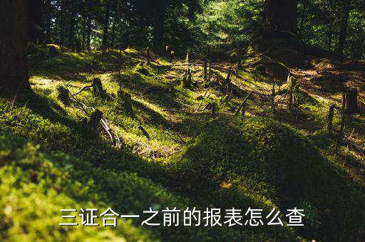 如何查三證合一之前的國(guó)稅數(shù)據(jù)，三證合一之前的報(bào)表怎么查