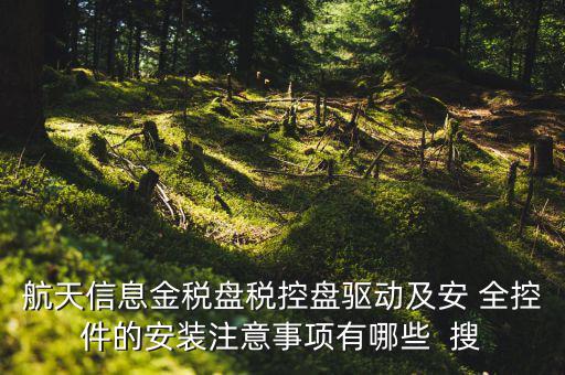 航天信息金稅盤稅控盤驅(qū)動及安 全控件的安裝注意事項(xiàng)有哪些  搜