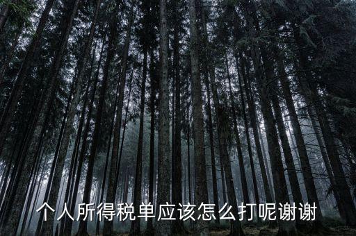 如何打印個人所得稅清單，請問如何打印個人個人所得稅繳款單據(jù)