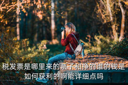 稅發(fā)票是哪里來的票子和掙的誰的錢是如何獲利的啊能詳細(xì)點嗎