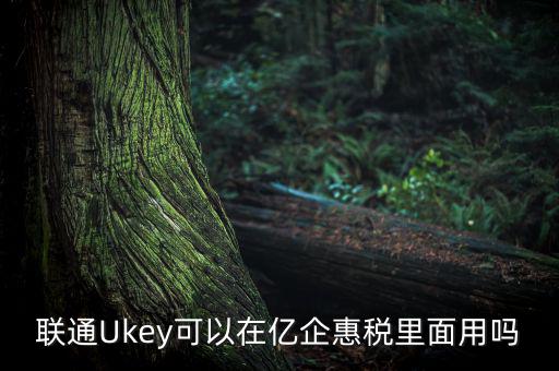 億企惠稅如何填報，聯(lián)通硬證書里面還贈送的其他產(chǎn)品是什么怎么用