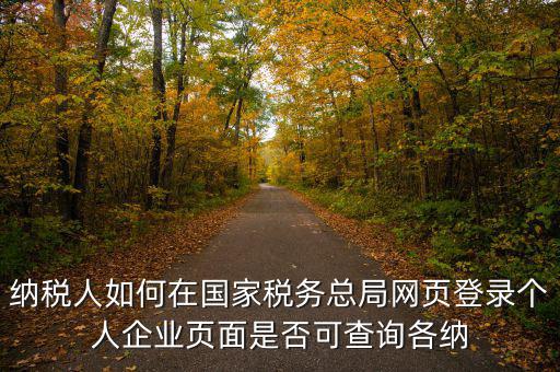 納稅人如何在國家稅務總局網(wǎng)頁登錄個人企業(yè)頁面是否可查詢各納