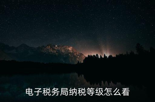 a級納稅人如何查詢，電子稅務(wù)局納稅等級怎么看