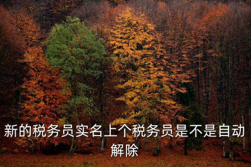 新的稅務員實名上個稅務員是不是自動解除