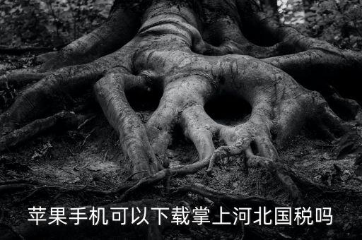 河北掌上國稅如何注冊，蘋果手機可以下載掌上河北國稅嗎