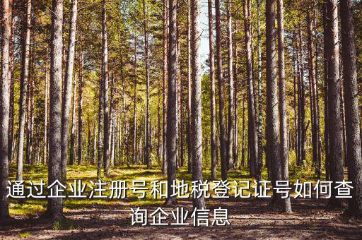 企業(yè)稅務(wù)信息如何查詢，通過企業(yè)注冊(cè)號(hào)和地稅登記證號(hào)如何查詢企業(yè)信息