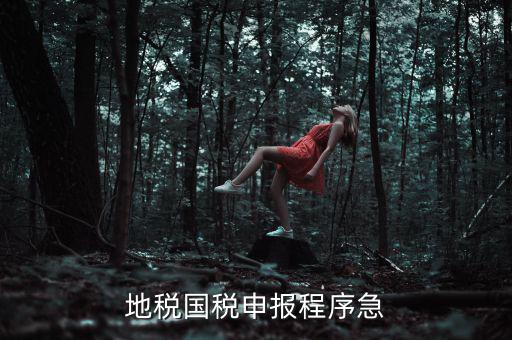 國(guó)稅地稅如何辦理流程，我想知道申報(bào)國(guó)稅地稅的流程包括前期需要什么資料期間如何