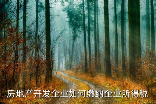 房地產(chǎn)企業(yè)異地開發(fā)如何納稅，急房地產(chǎn)開發(fā)企業(yè)如何交稅