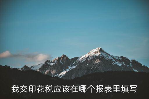 網(wǎng)上印花稅表如何填寫，印花稅申報報表要怎么填啊