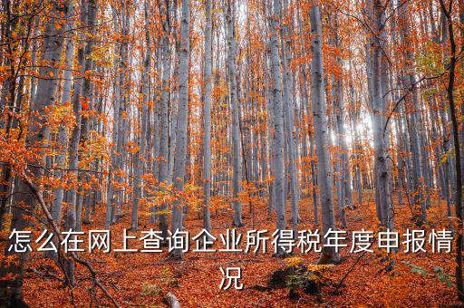 企業(yè)稅務(wù)信息如何查詢系統(tǒng)，通過企業(yè)注冊(cè)號(hào)和地稅登記證號(hào)如何查詢企業(yè)信息