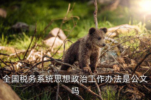 稅務部門如何思想政治工作，在稅務工作中應該樹立什么樣的精神