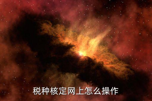 如何稅局網(wǎng)站上開通稅種，稅種認(rèn)定在電子稅務(wù)局怎么操作