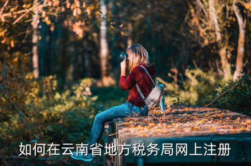 如何進(jìn)入云南稅務(wù)系統(tǒng)上報(bào)稅，如何在云南省地方稅務(wù)局網(wǎng)上注冊(cè)