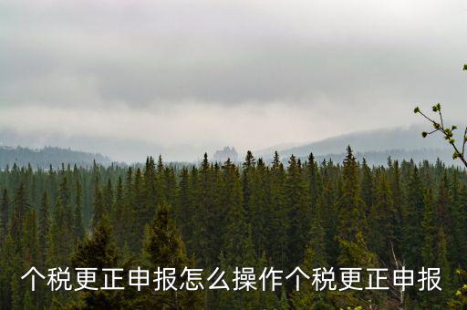 福建個人所得稅如何申報更正，個稅申報錯了如何更正