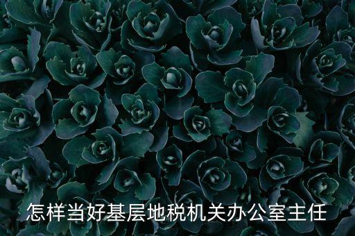 稅務部門如何抓好主體責任，如何做好稅收法規(guī)工作