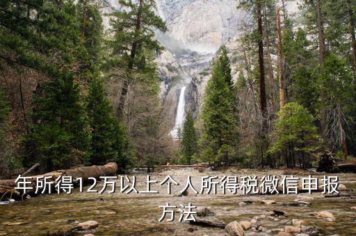 江蘇12萬元申報如何登錄申請，江蘇12萬元個人所得稅怎么申報