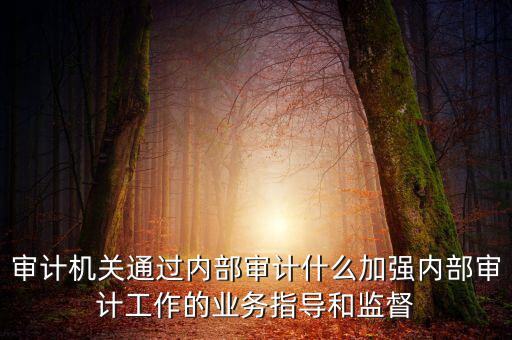 如何進(jìn)一步加強(qiáng)督察內(nèi)審工作，如何加強(qiáng)紀(jì)檢監(jiān)察系統(tǒng)內(nèi)部監(jiān)督管理