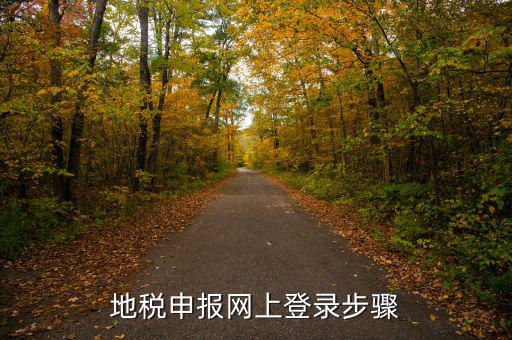 廣西國(guó)稅地稅如何網(wǎng)上申報(bào)，稅務(wù)申報(bào)如何網(wǎng)上申報(bào)