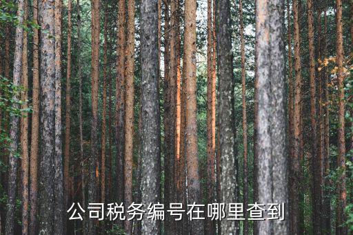 如何查遼寧省國稅局納稅識(shí)別號(hào)，跪求 在哪點(diǎn)能查詢到納稅人識(shí)別號(hào)