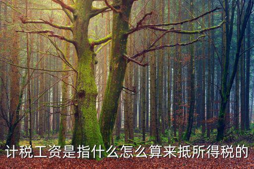 工資如何抵扣所得稅，企業(yè)所得稅工資抵扣的一些訣竅