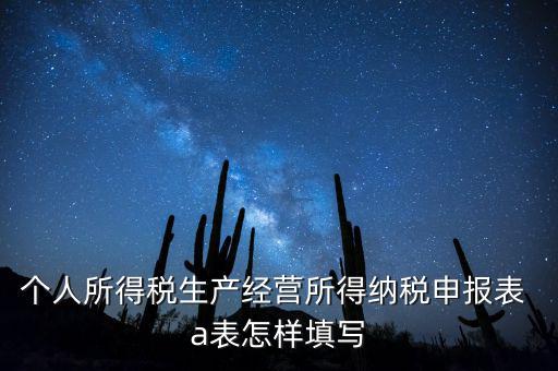 個(gè)人經(jīng)營所得申報(bào)表a表如何填，個(gè)人所得稅經(jīng)營所得稅申報(bào)表a表怎么填