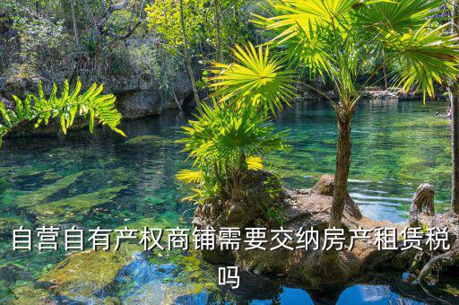 自有商鋪如何繳租賃稅，自有商鋪 是否交出租稅