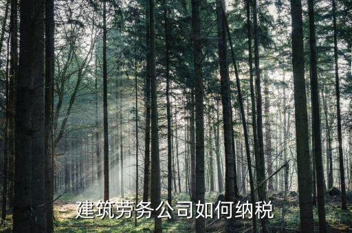 建筑勞務(wù)如何征稅，建筑勞務(wù)公司如何納稅