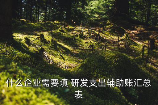 研發(fā)支出 輔助賬匯總表如何填寫，什么企業(yè)需要填 研發(fā)支出輔助賬匯總表