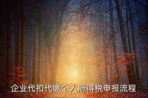 網(wǎng)上如何進(jìn)入代扣代繳申報，企業(yè)代扣代繳個人所得稅申報流程