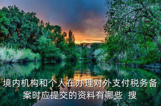 如何填列對(duì)外支付稅務(wù)備案表，境內(nèi)機(jī)構(gòu)和個(gè)人在辦理對(duì)外支付稅務(wù)備案時(shí)應(yīng)提交的資料有哪些  搜