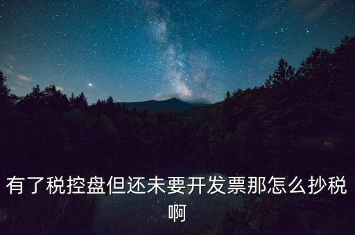 稅控盤如何抄報(bào)稅，有了稅控盤但還未要開發(fā)票那怎么抄稅啊