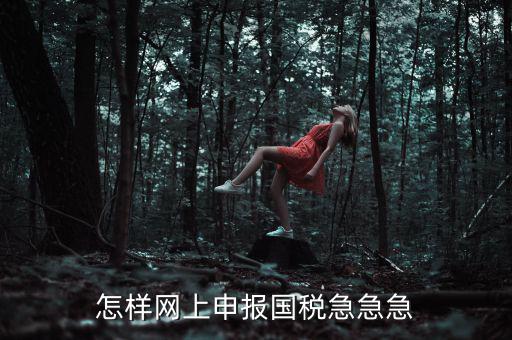 國稅網(wǎng)上稅務(wù)如何申報，怎樣網(wǎng)上申報國稅急急急