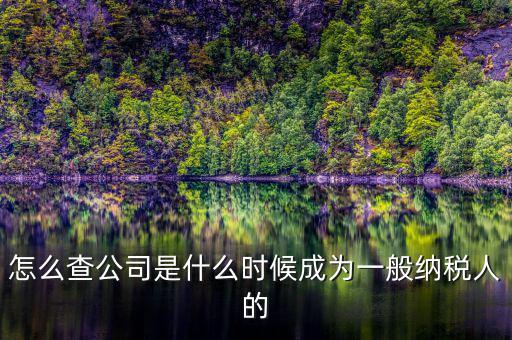 如何查詢一般人納稅認(rèn)定時(shí)間，怎么查公司是什么時(shí)候成為一般納稅人的