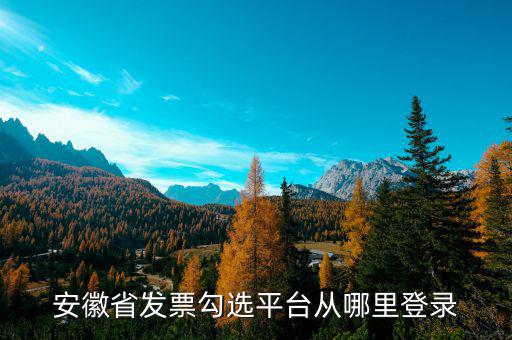 安徽省如何在網(wǎng)上申請(qǐng)購(gòu)發(fā)票，安徽省發(fā)票勾選平臺(tái)從哪里登錄