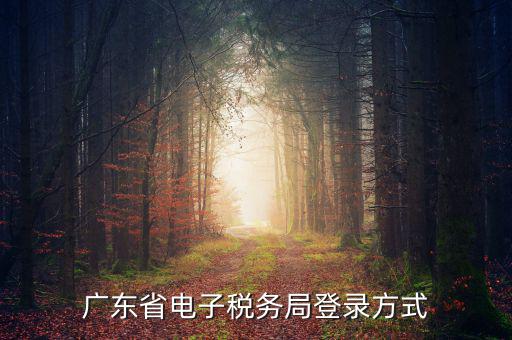 廣東省電子稅務局登錄方式