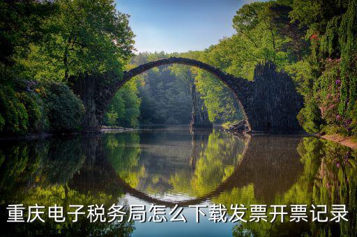 重慶市稅務局電腦如何下載，重慶市自然人電子稅務局扣繳端怎么下載