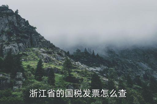浙江的定額發(fā)票如何查詢，浙江省的國稅發(fā)票怎么查