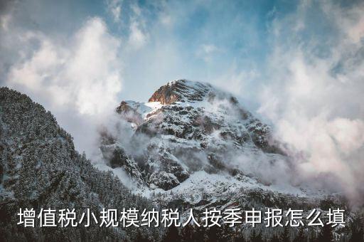 小規(guī)模納稅人如何按季申報(bào)，增值稅小規(guī)模納稅人按季申報(bào)怎么填