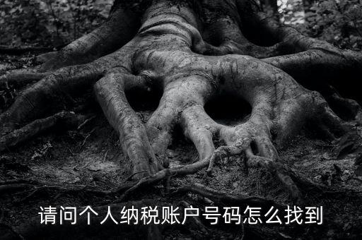 如何查詢(xún)個(gè)人稅務(wù)編號(hào)查詢(xún)，如何查看個(gè)人名下的稅務(wù)證