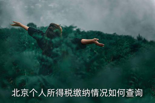 北京地稅個(gè)人如何查詢，如何查詢個(gè)人所得稅繳稅記錄