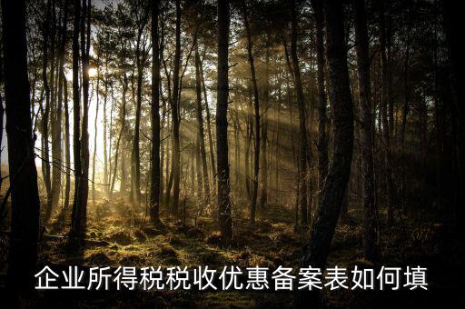 如何填寫企業(yè)所得稅優(yōu)惠事項(xiàng)備案表，企業(yè)所得稅減免稅備案表填寫