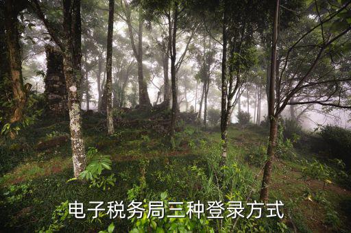 遼寧省網(wǎng)上稅務局如何登錄，可以用手機登陸遼寧省電子稅務局嗎