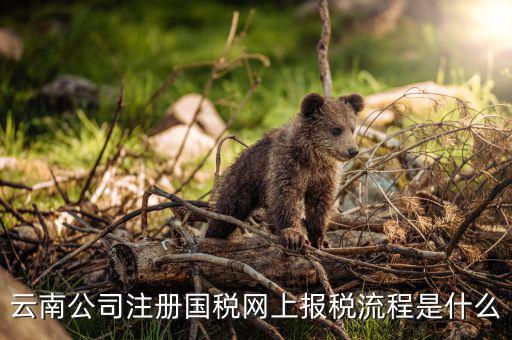 如何進(jìn)入云南網(wǎng)上稅務(wù)申報系統(tǒng)，如何進(jìn)行網(wǎng)上稅務(wù)申報