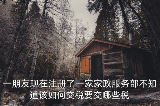 一朋友現(xiàn)在注冊了一家家政服務部不知道該如何交稅要交哪些稅