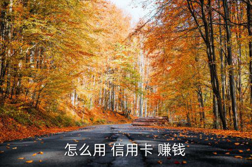 怎么玩信用卡賺錢,信用卡怎么用?商家賺商家錢不用卡費