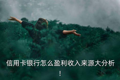 正規(guī)信用卡代辦公司是怎么賺錢(qián)的,發(fā)行信用卡賺錢(qián)秘訣