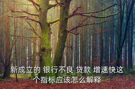 新成立的 銀行不良 貸款 增速快這個指標應該怎么解釋
