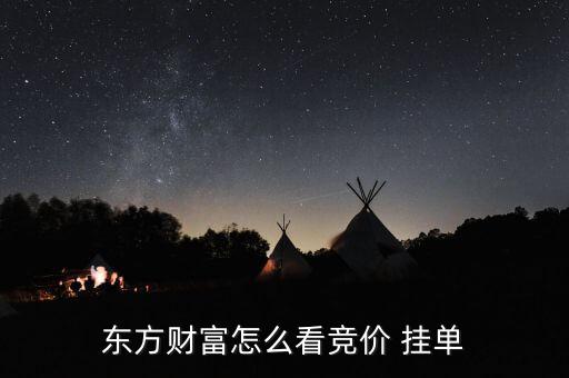 掛單怎么看,證券公司可能不接受相關晚上的相關份額掛單