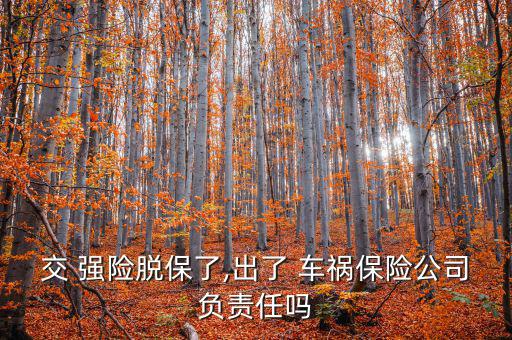 強險脫保后車禍怎么賠付,交通事故若無責(zé)任保險公司不賠償損失
