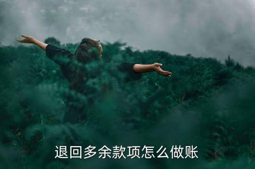 多匯貨款怎么入賬,你做賬時怎么設置?